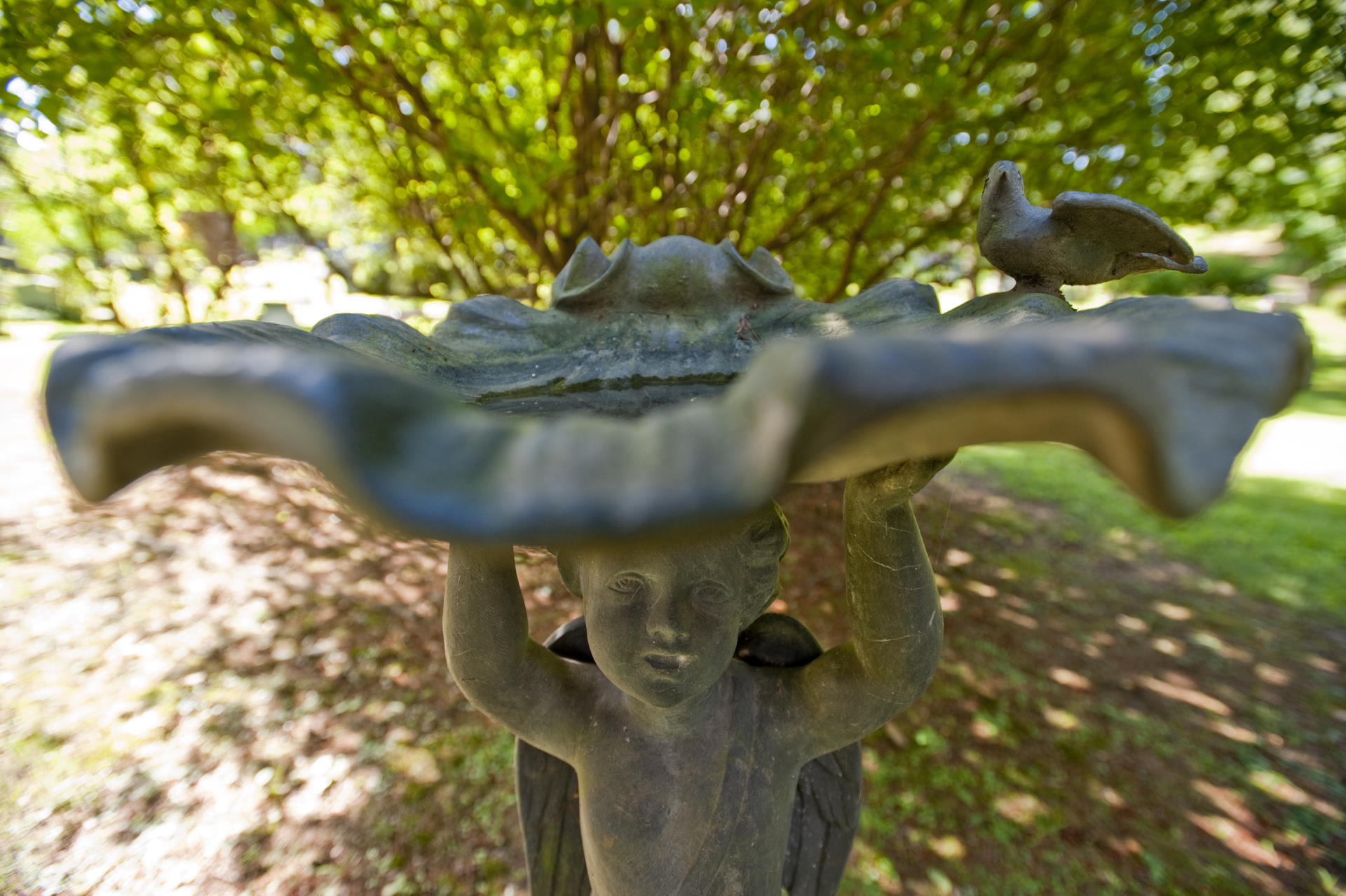 Birdbath