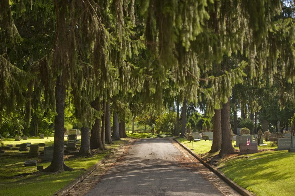 Path